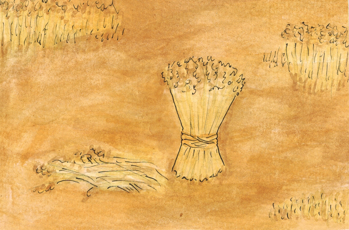 Wheat Sheaf